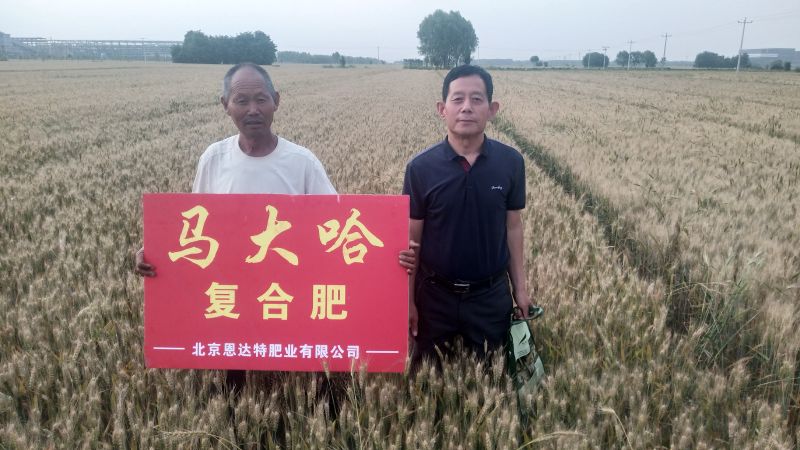 案例見證