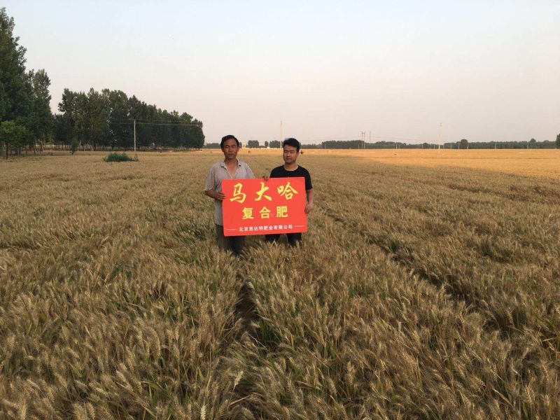 案例見證