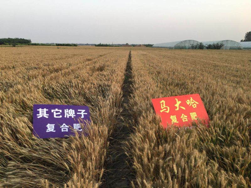 案例見證