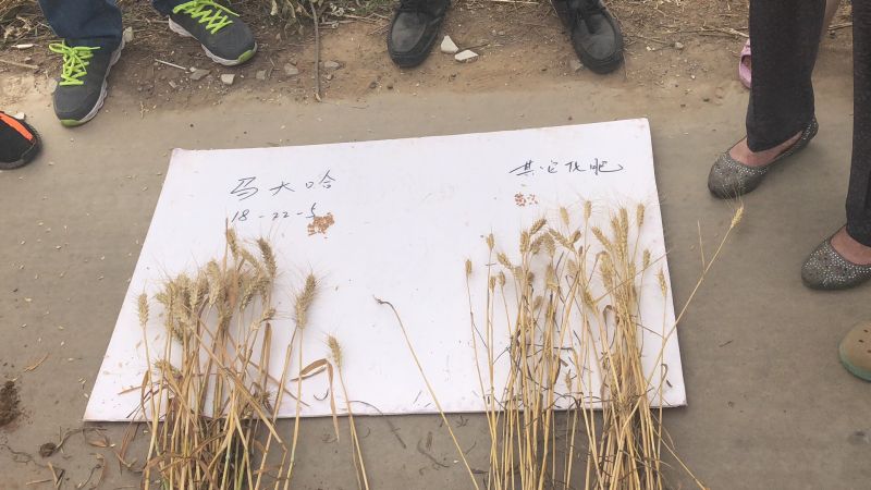 案例見證