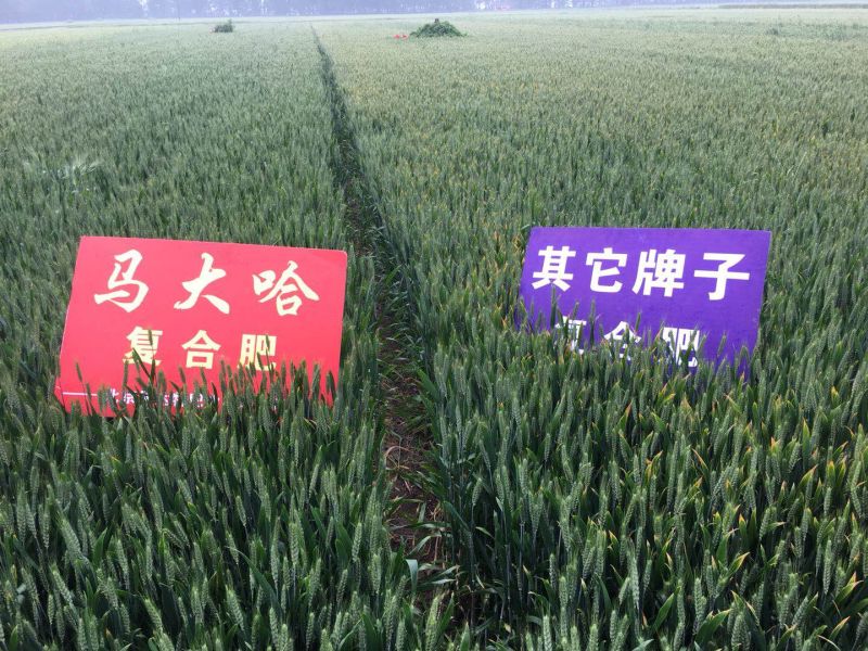 案例見證