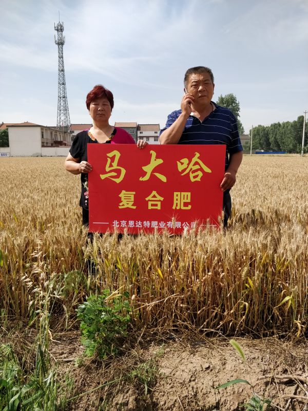 案例見證