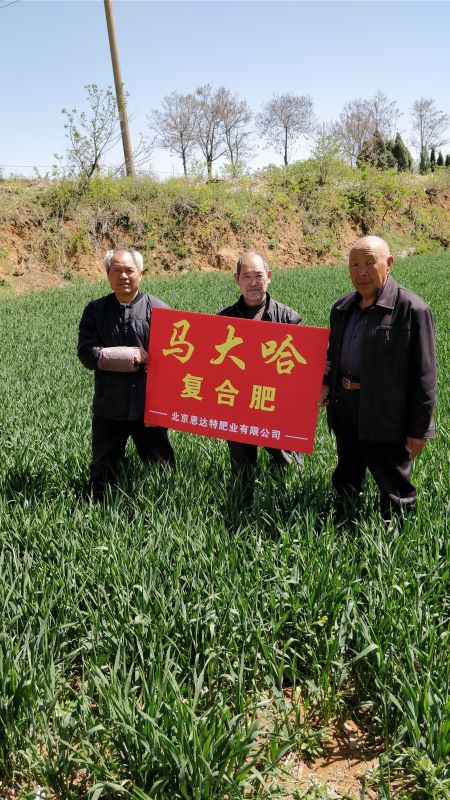 案例見證