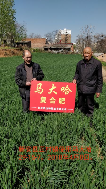 案例見證